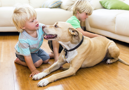 what to do if a dog attacks a child